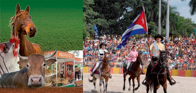 Cuba&#039;s Annual Agricultural Festivity