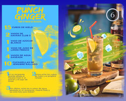 Punch Ginger