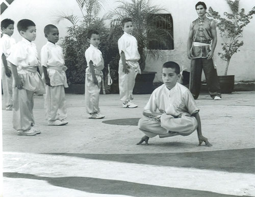The Cuban Wushu School