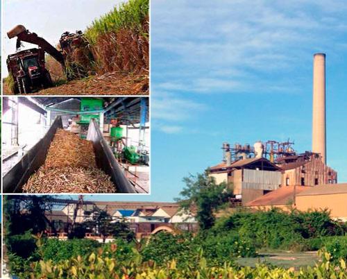 Cuba: ICIDCA to boost sugar agribusiness diversification