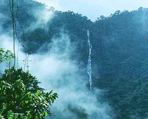 Nature: The peculiar Fine Waterfall