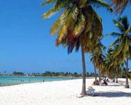  Cuban province gives priority to face the climate change