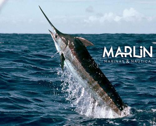 International Marlin Fishing Tournament and the PHOTOSUB Varadero 2022 International Underwater Photography Event