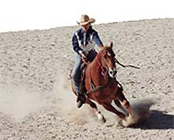 Rodeo, deporte ganadero con gran auge en Cuba