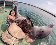Swimming with Dolphins in Varadero